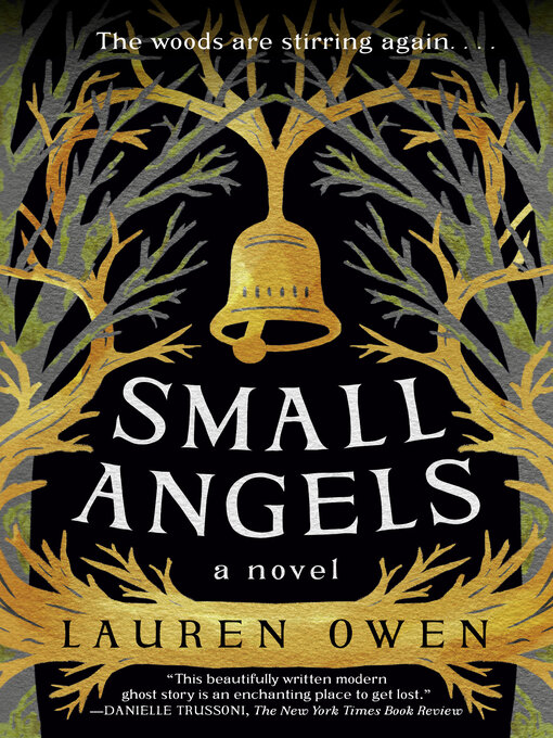 Title details for Small Angels by Lauren Owen - Wait list